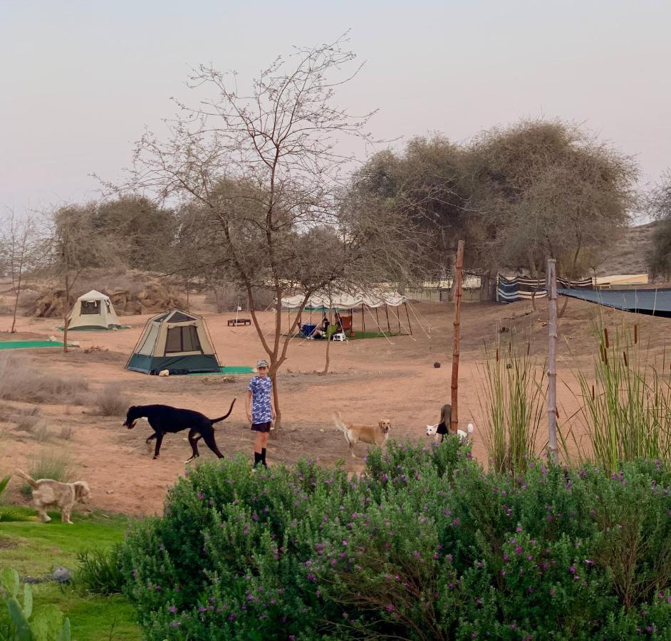 Hotel Rak Glamping Ra’s al-Chaima Exterior foto