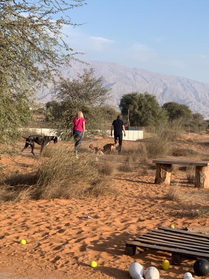 Hotel Rak Glamping Ra’s al-Chaima Exterior foto